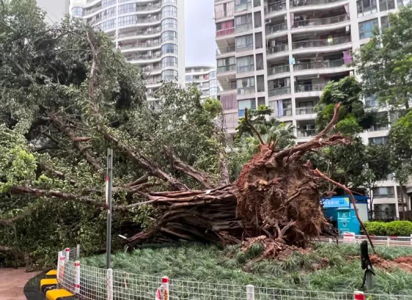 半夜两点多，还在关心台风杜苏芮
台风杜苏芮据说已经形成两个风眼了，其威力都能影响