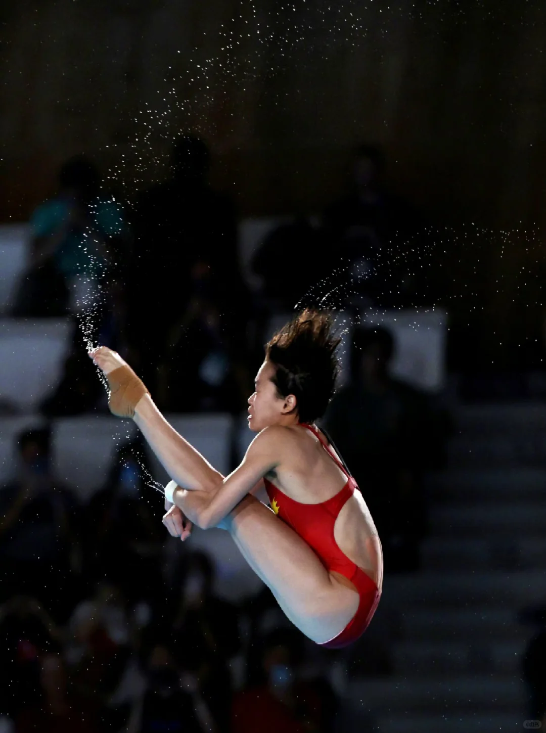 全红婵10米台金牌+首跳满分