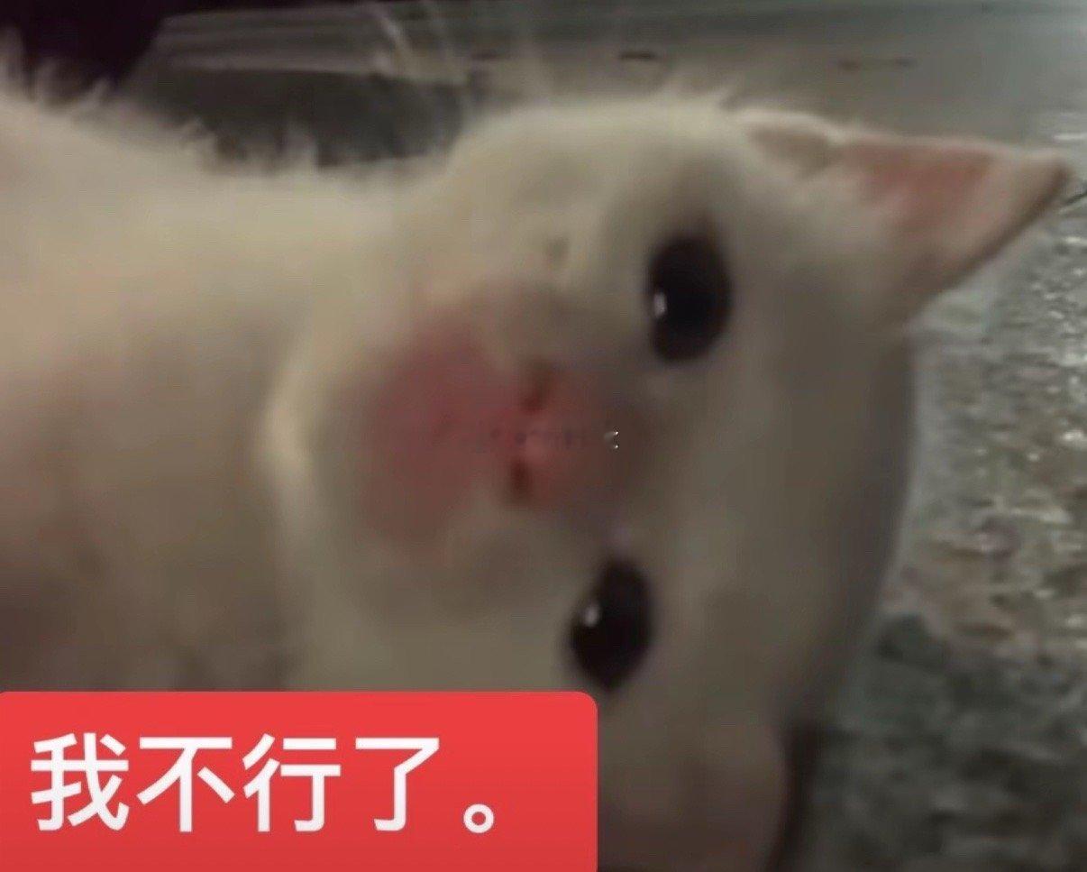 昨天一堆破事搞得我好焦虑 然后想着看下楚慈吧！ 现在好了 不焦虑了 只想骂死这个