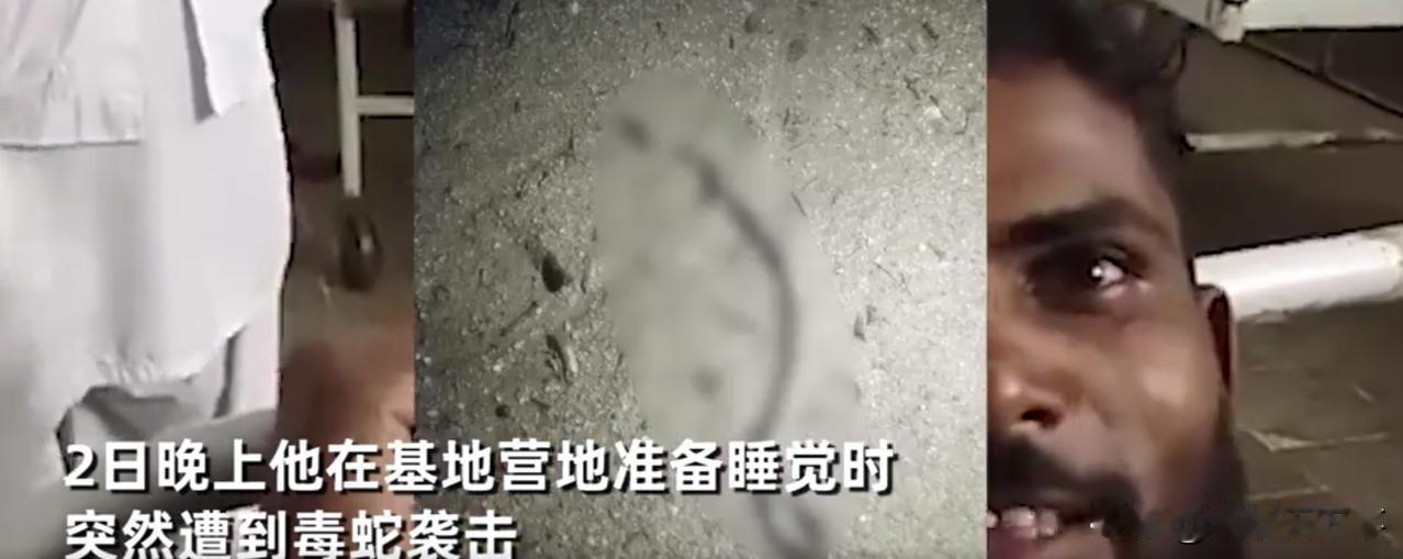 整活还得是看三哥啊！在印度比哈尔邦，一名男子晚上睡觉时，突然被一条蛇袭击咬了一口