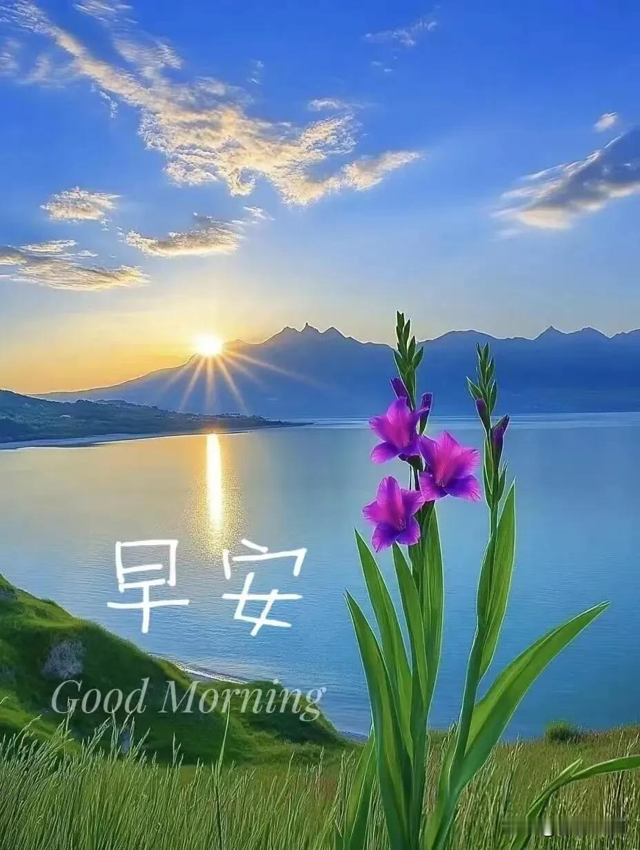 晨光开启新的一日，接纳生活的不容易，守住内心的平和，好事正在缓缓赶来。