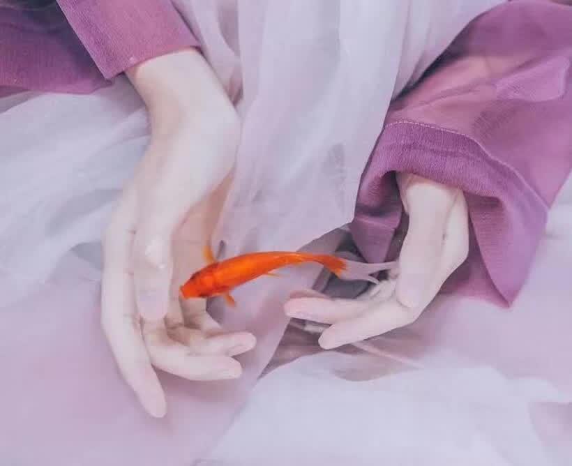 有这么几件事情往往会让人彻夜失眠:
其一是身体上的伤痛；
其二是心理上的伤害；