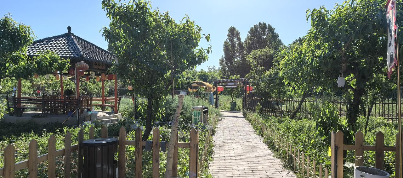 西安市长安区杜曲桃花园园中园招募陕南特色农家院，团建旅游观光活动合作共赢会做陕南