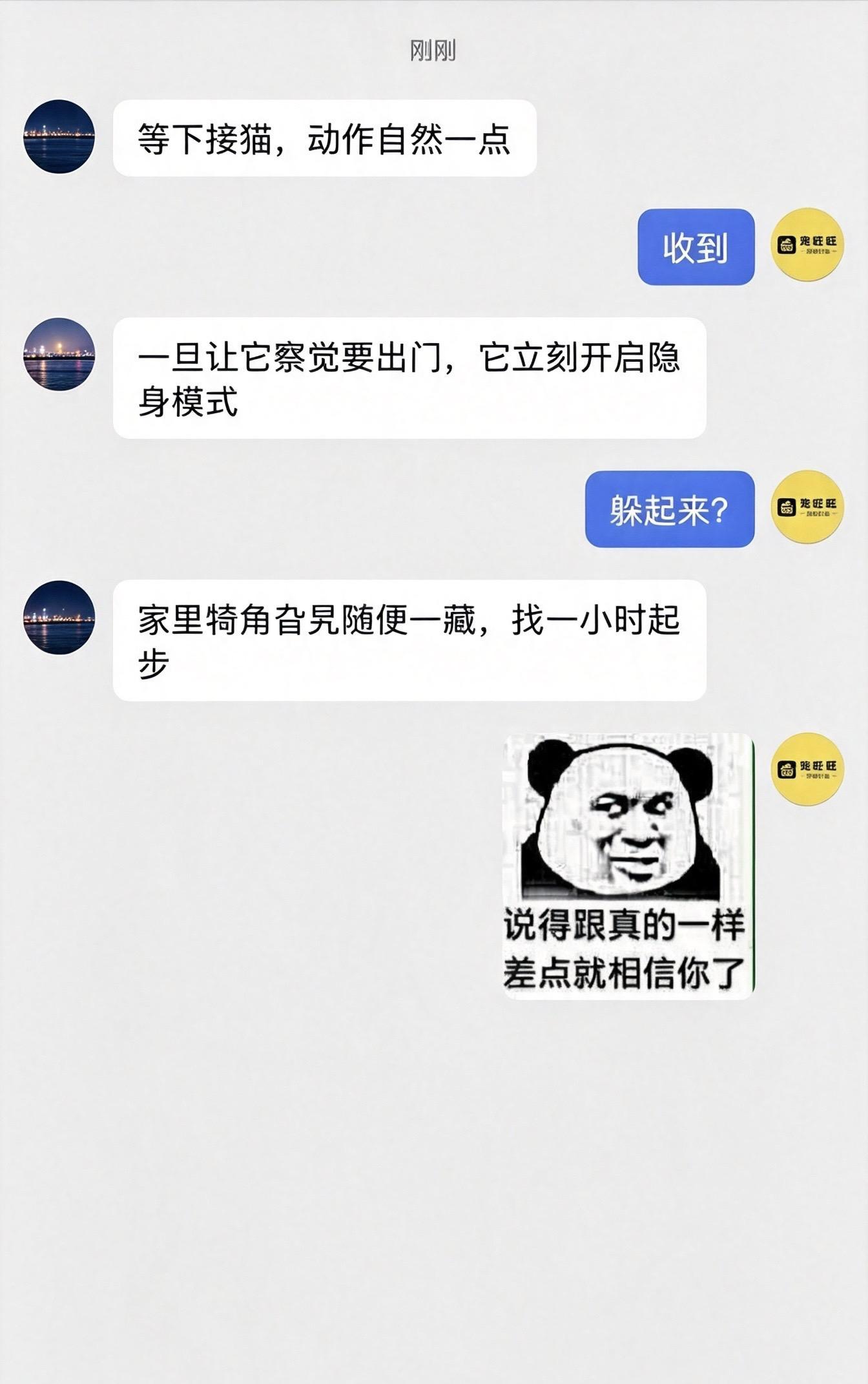 小猫预判出行，立马开启隐形buff.