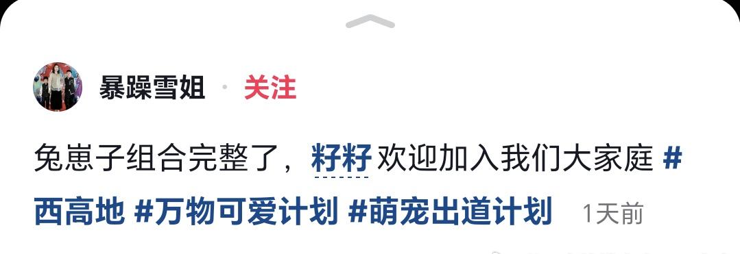 刚才刷抖，才发现雪姐养了一只狗叫“籽籽”，凑齐了“兔崽子”[泪奔]我就说我之前刷