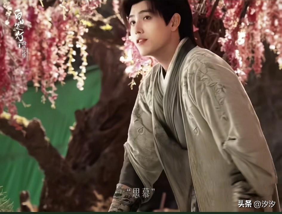 白日提灯这段剧情，
真的是很好玩，
当爱吃香菜的灵主，
和不爱吃香菜的小狐狸在一