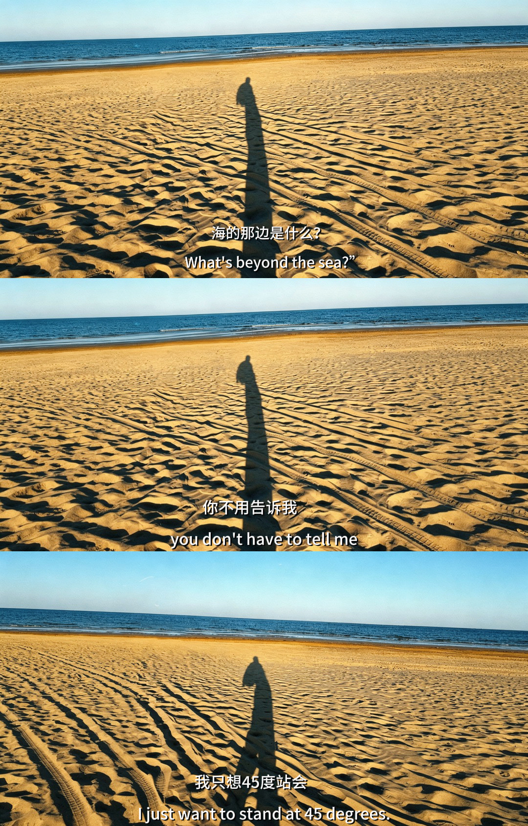 摇身一变丸哲频道 ​​​