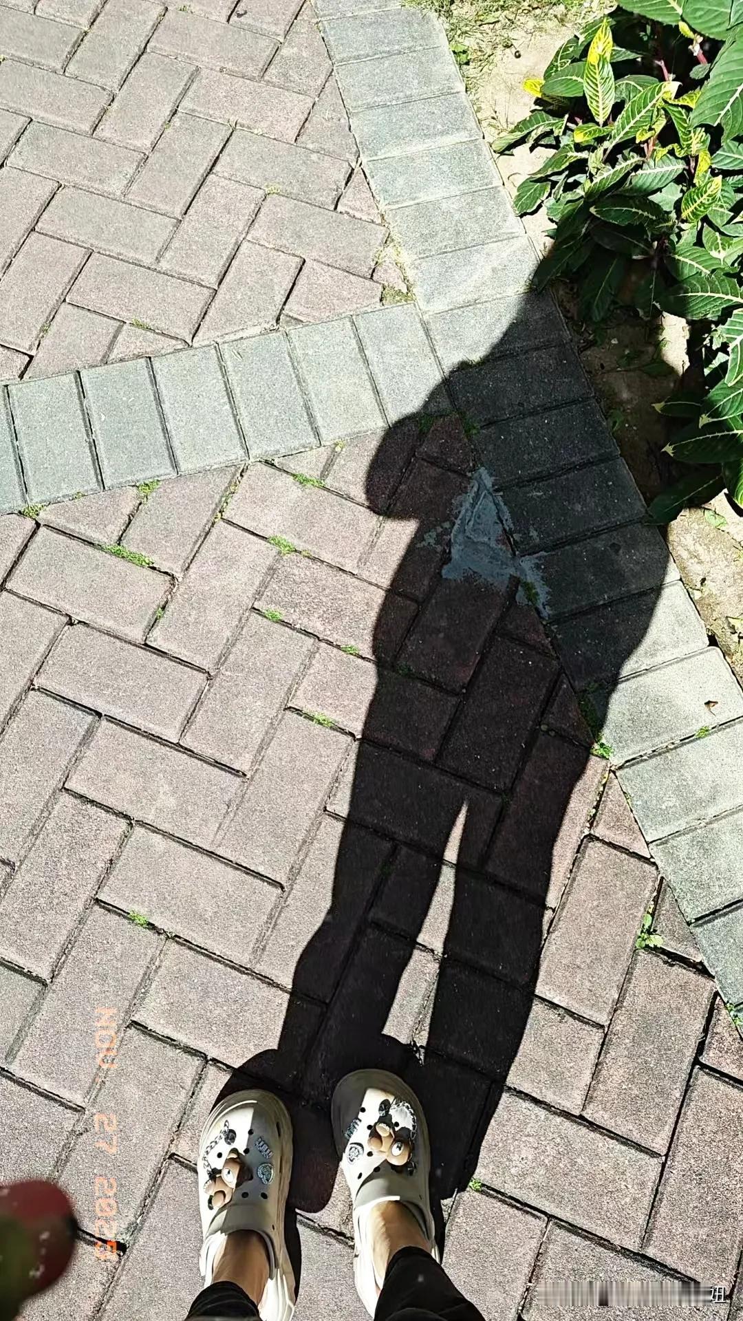 大亚湾家附近上班，工资低点都可以。
出门药店买点润喉糖，在家附近的一家药店碰到了