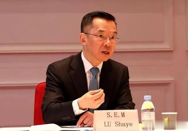 文章虽然在几个小时后就删了，但惹出的风波似乎还不小呢？

作为一名驻外的大使，其