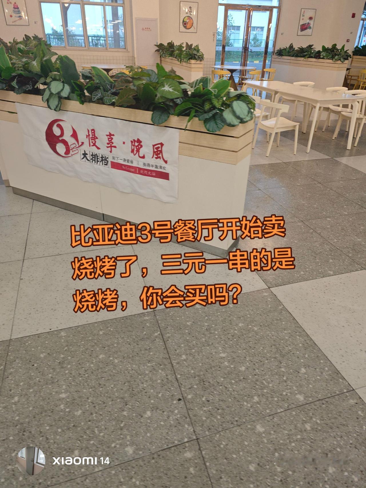 你们经常吃的烤串一串多少钱？三元贵吗？我看了一下，这烤串像是批发的，不像是人工手