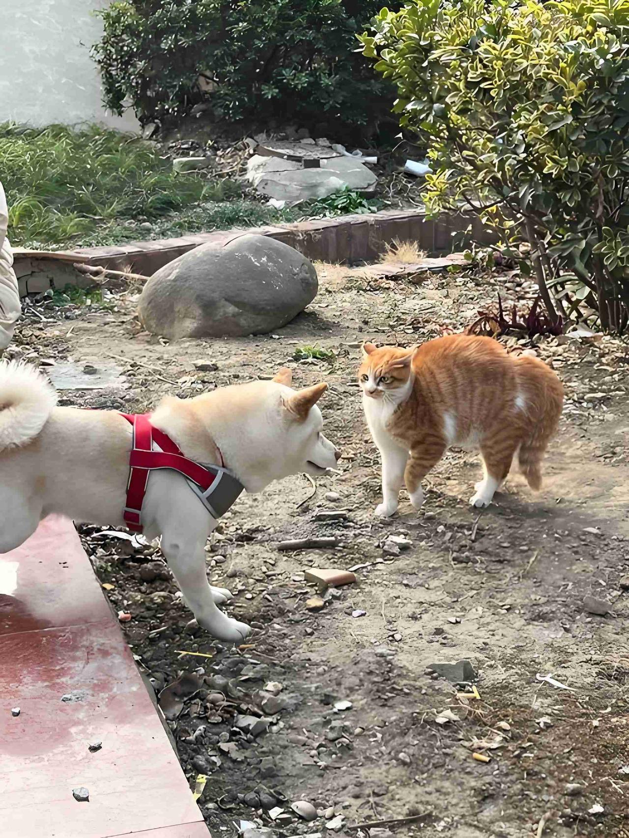 我的今日状态：💰期待暴富
我这里的天气：🍂微风