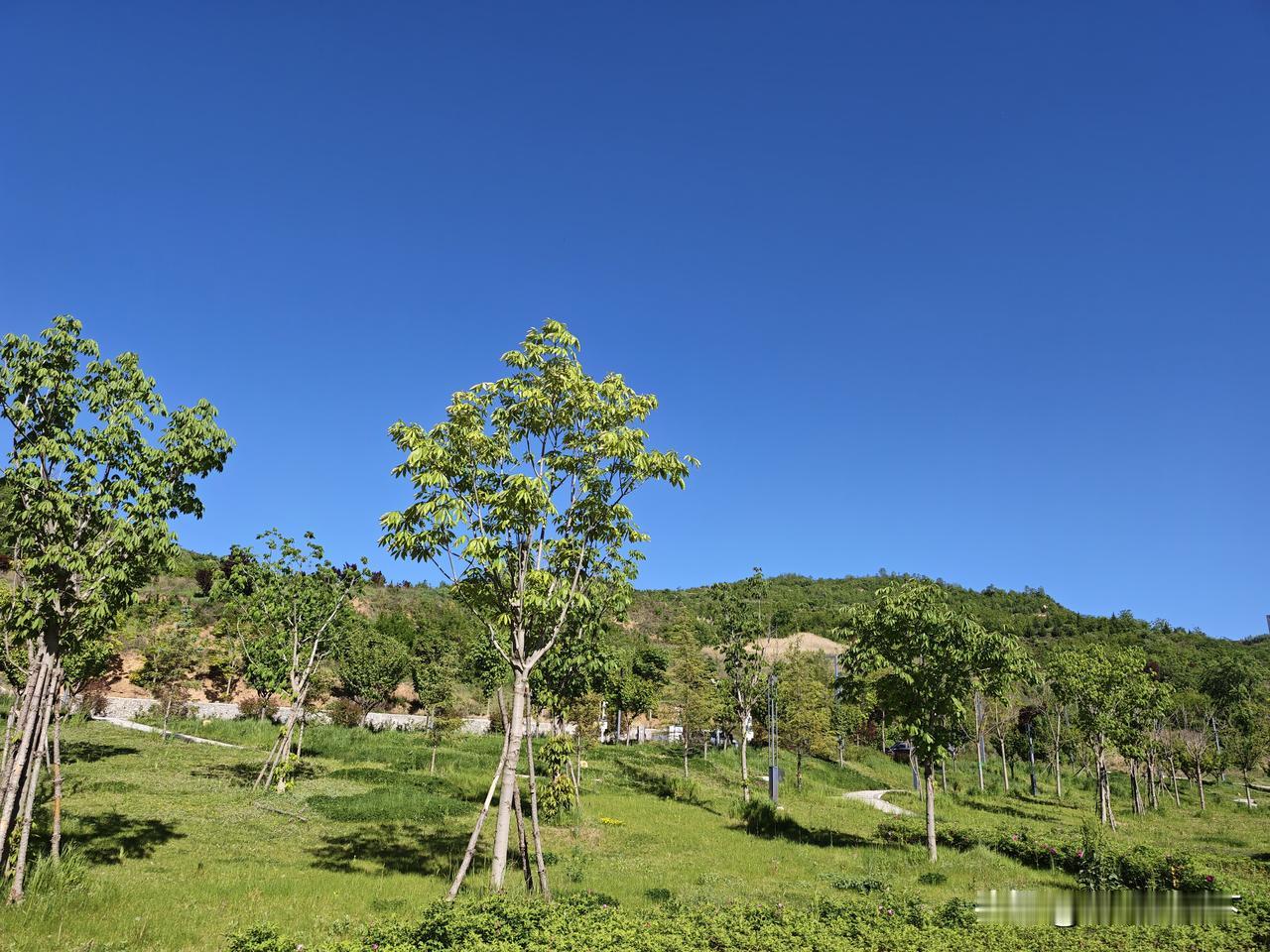 分享下你拍的乡村美景照片美丽田园风光，青山绿水蓝天白云。