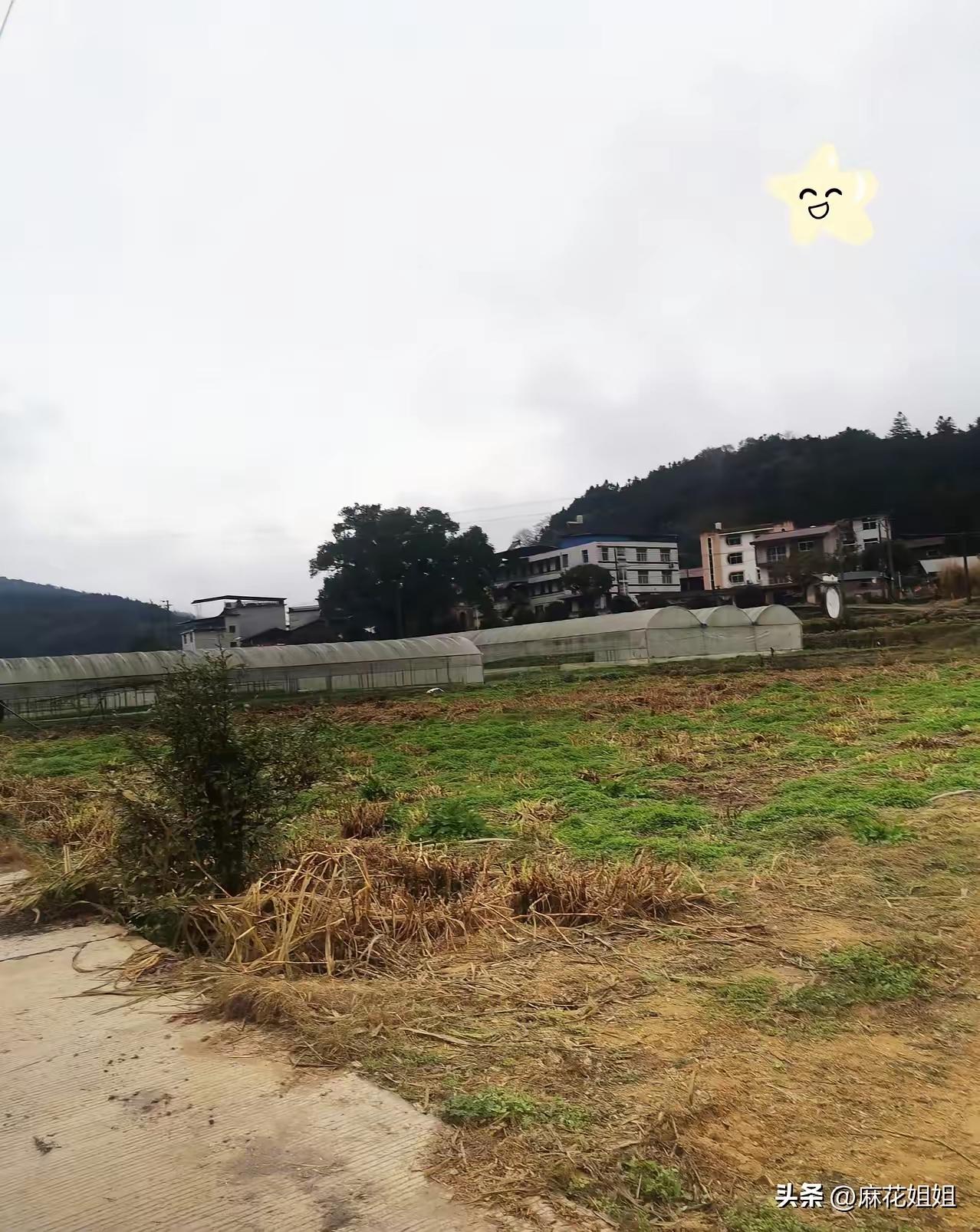 中秋节，我瞒着我妈，偷偷去看了两年多没来往的叔叔。临走时，我往他口袋里塞了200
