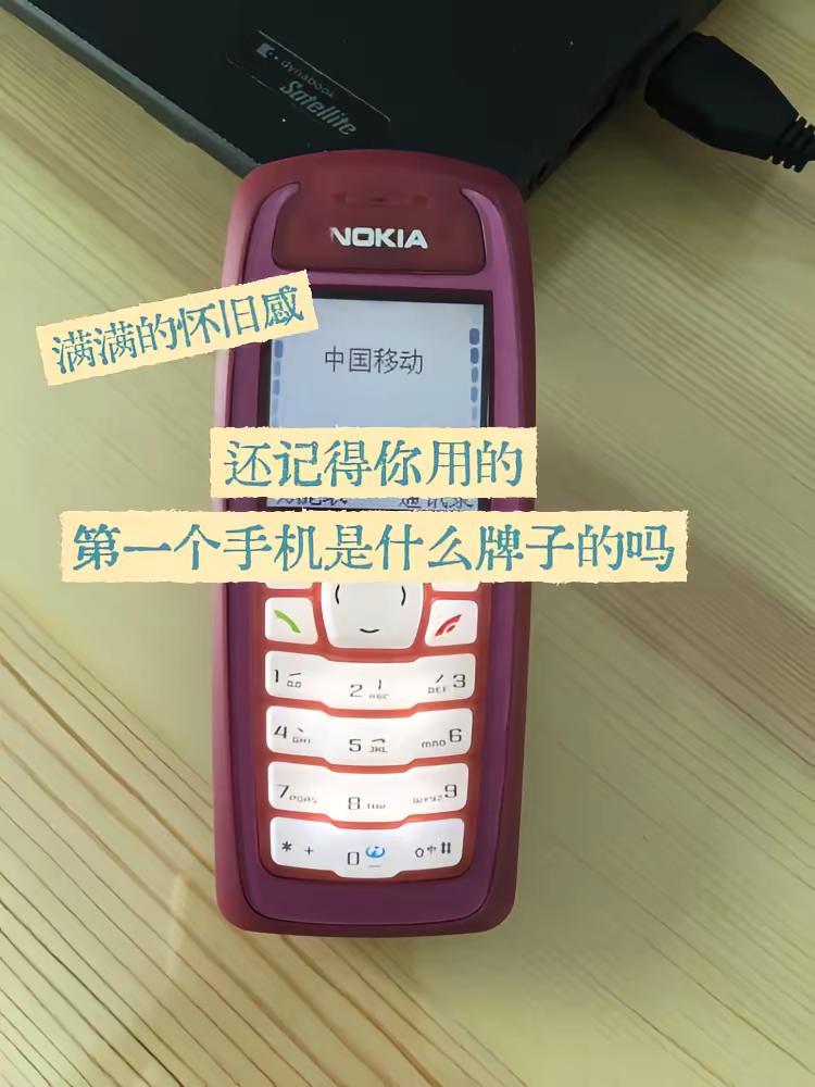04年我买的第一个手机是诺基亚3100，当时对徐州市里还不熟悉，同事小姐姐带我去