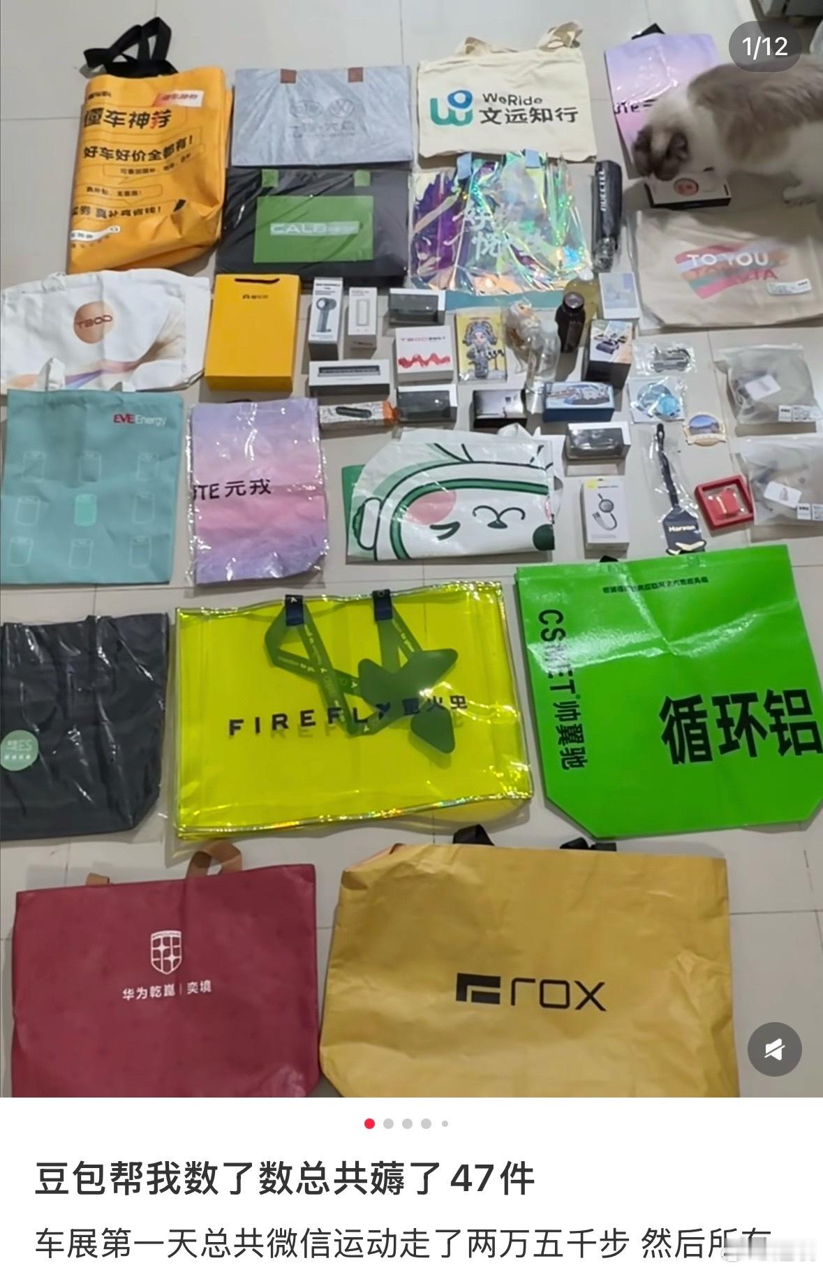 北京车展薅羊毛不完全汇总，建议先去送背包展台领个包小米汽车：小米车模，每天限量1