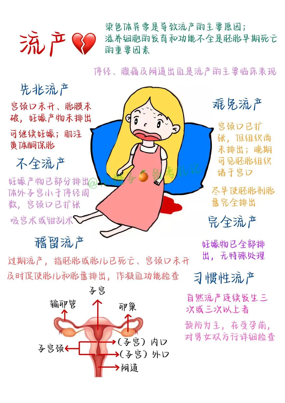 📖护师笔记｜一张图区分6⃣️种流产🙋