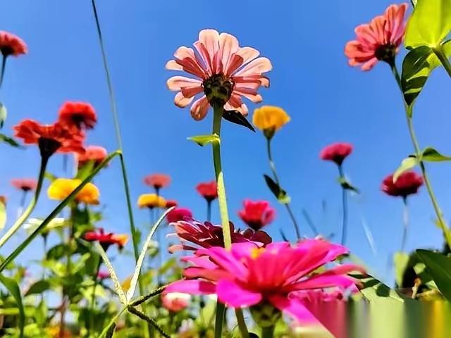 药为什么能治病
一种药对治胃病特别有效，但对治心脏病却毫无疗效，为什么？而另一种