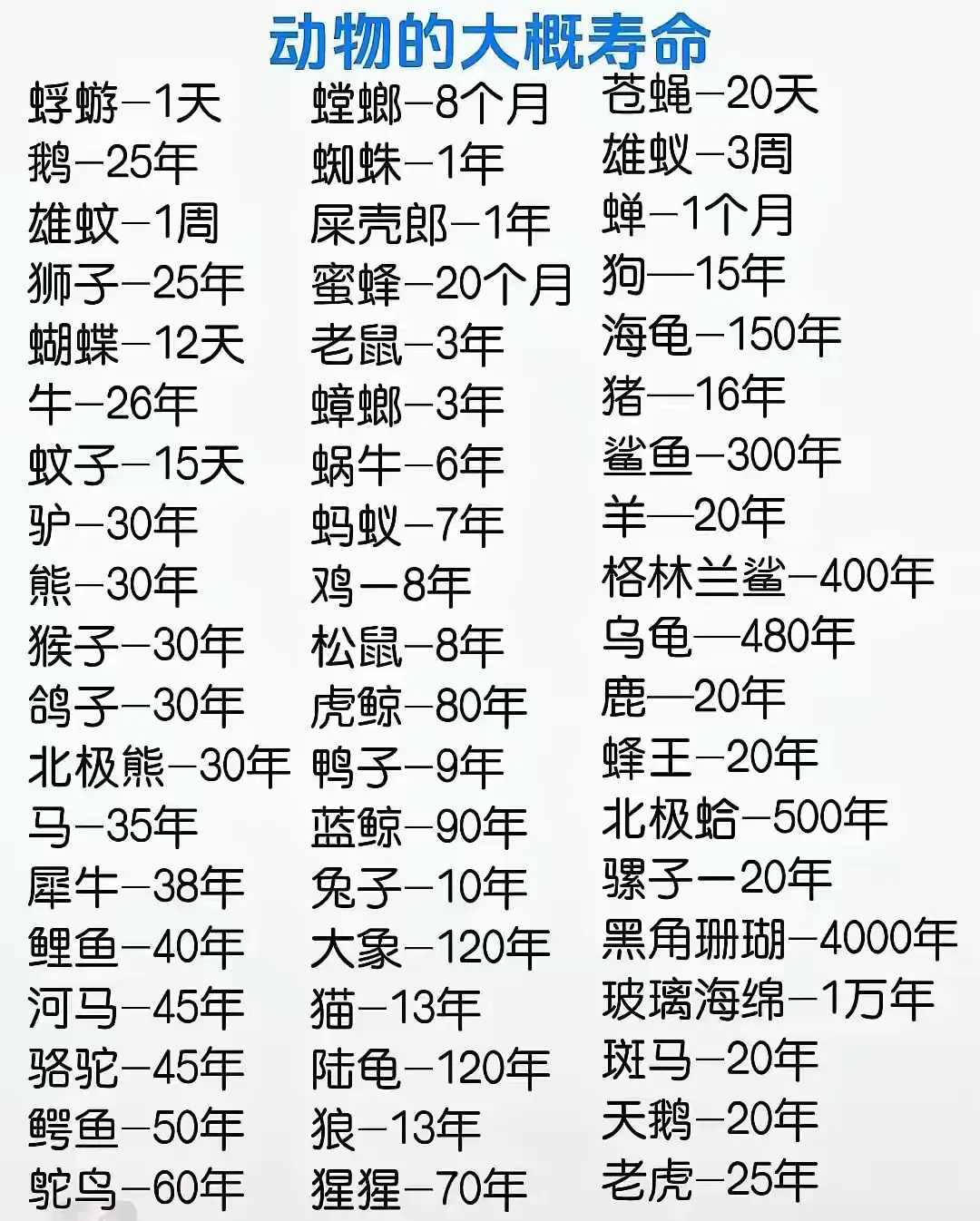 动物能陪你多少年。。🐱🐥🐶