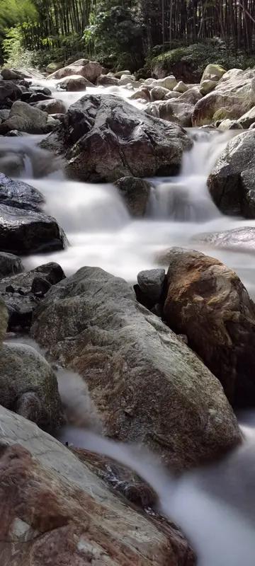 荒村犬吠幕林风。