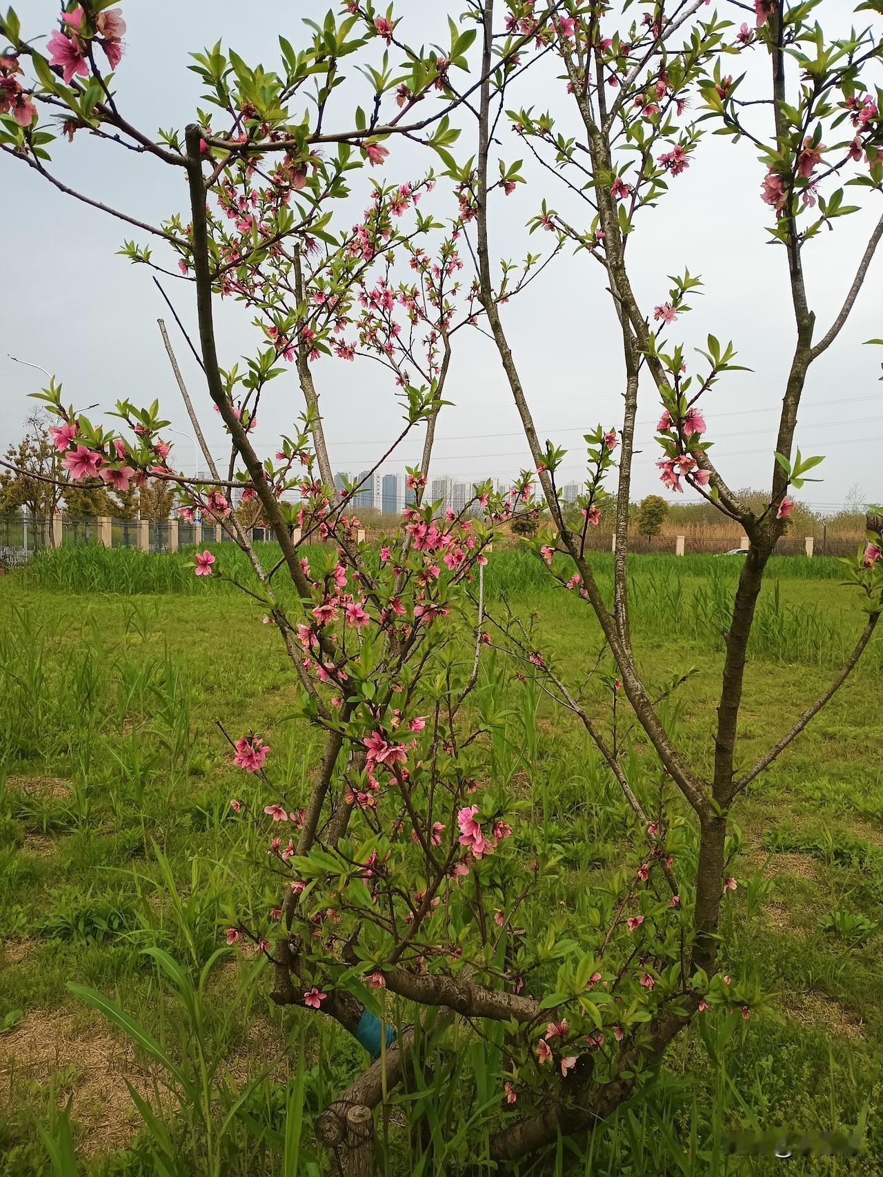 那是十几年前的事情，那个时候治安还没有现在这么好。移动支付不发达，大街小巷也没有