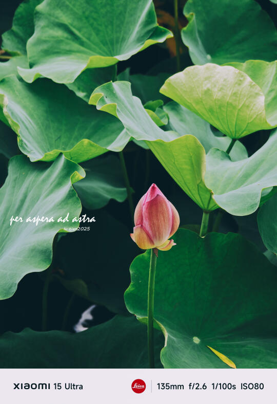 没事少和人链接