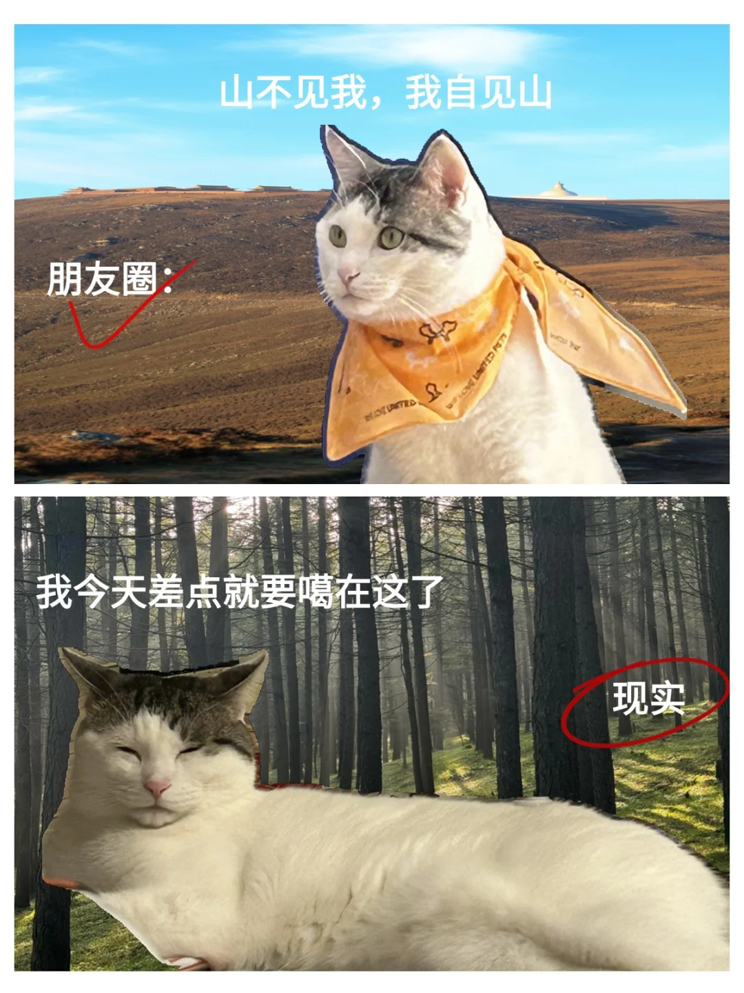 精装的朋友圈VS真实的毛坯户外