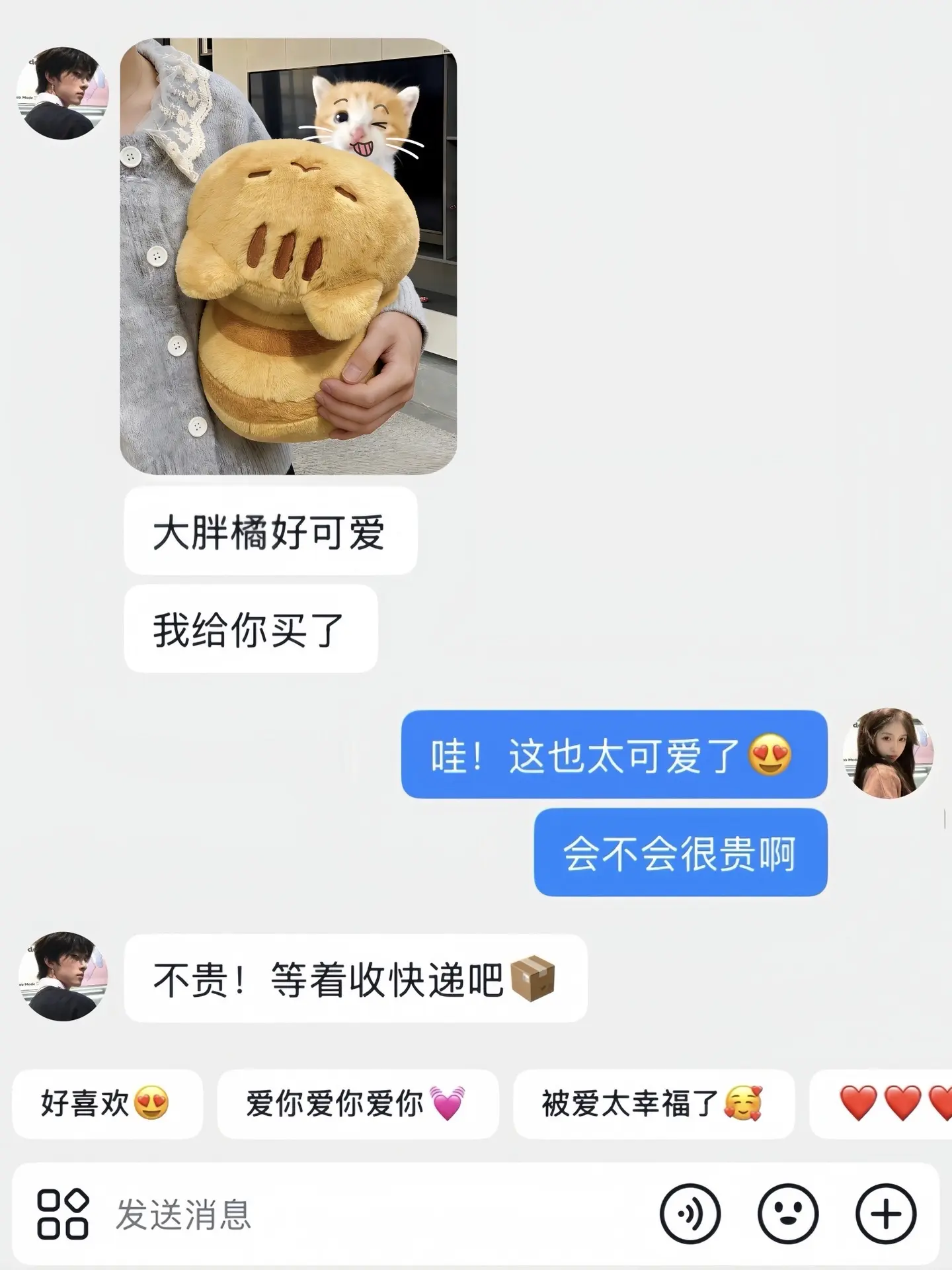 从今天开始遵循小猫生活法则： 1.平等的瞧不起任何人 2.多睡觉 3....