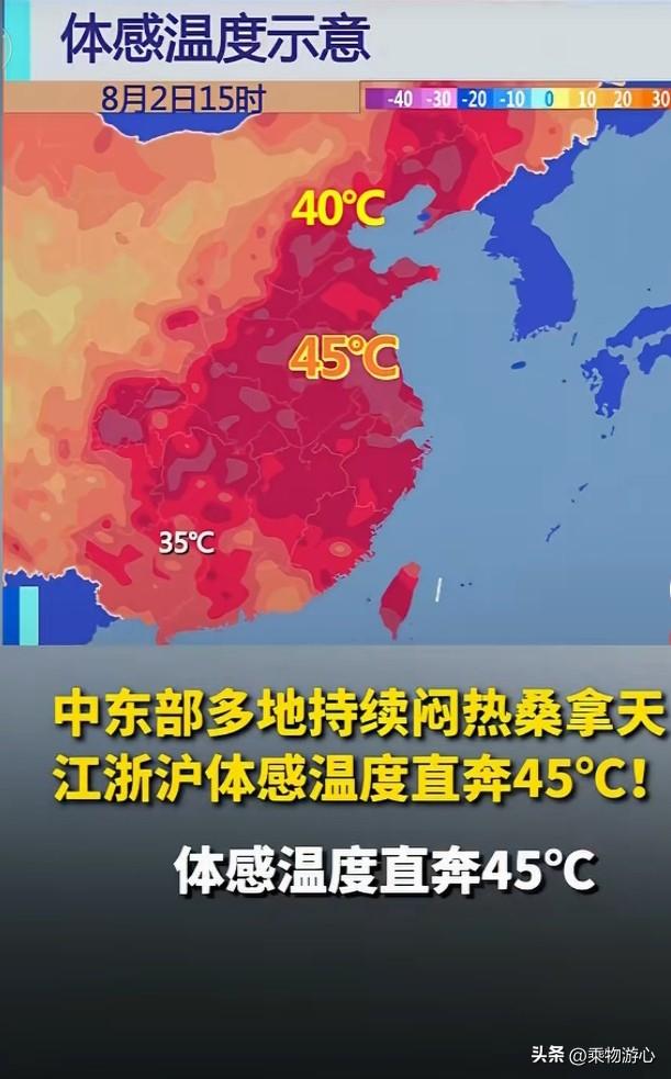 现在正是中伏最猛的时候，中午气温轻轻松松38度往上，体感直接40多度，出门跟蒸桑