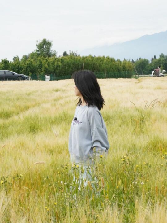 📍从才村去喜洲的大丽线，麦田好好拍！