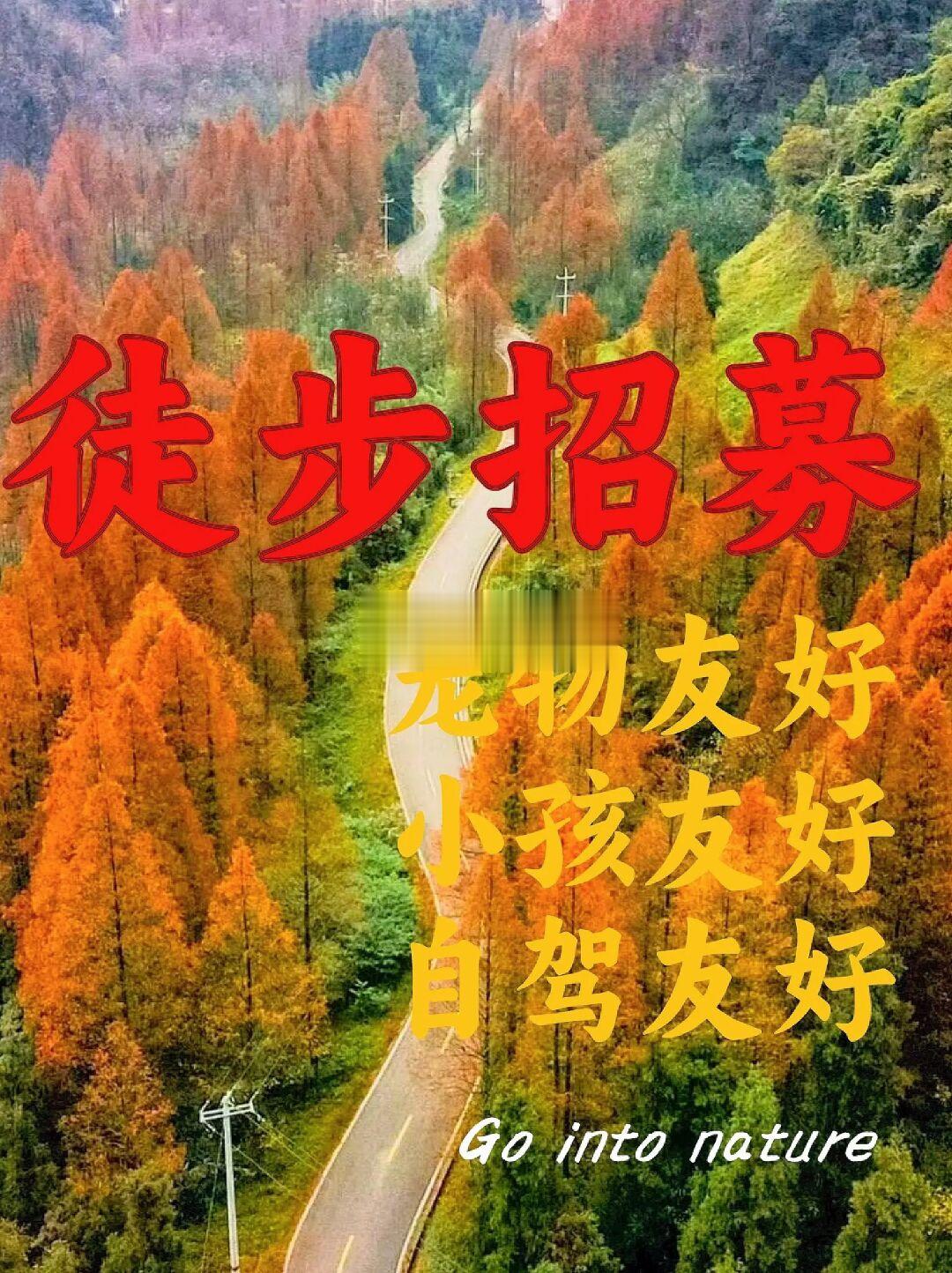成都秋季徒步招募|80条top级美景户外路线❗