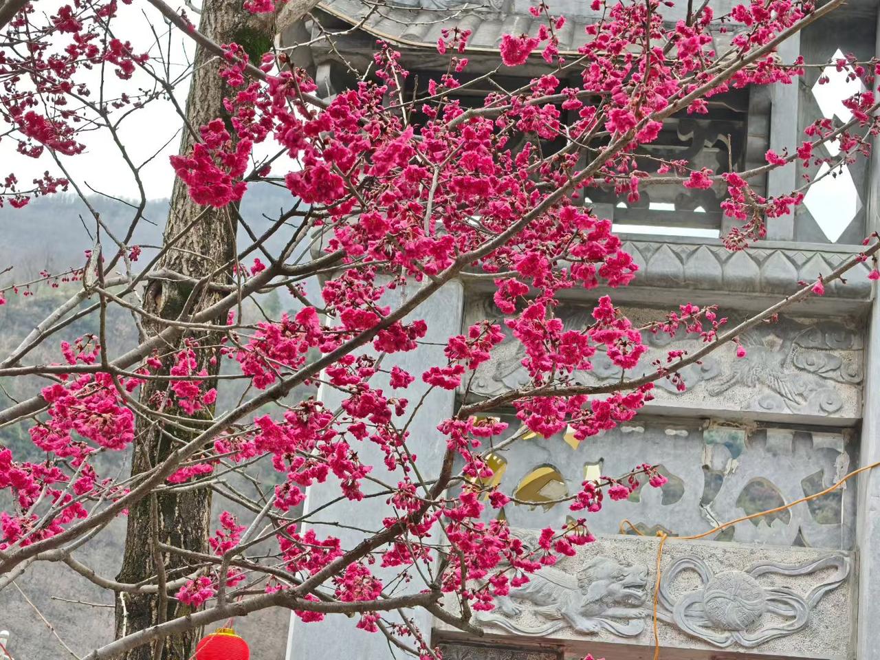 【京东大地震！副总裁被“离职”，刘强东亲自拍板】
 
互联网大瓜：
 
- 京东