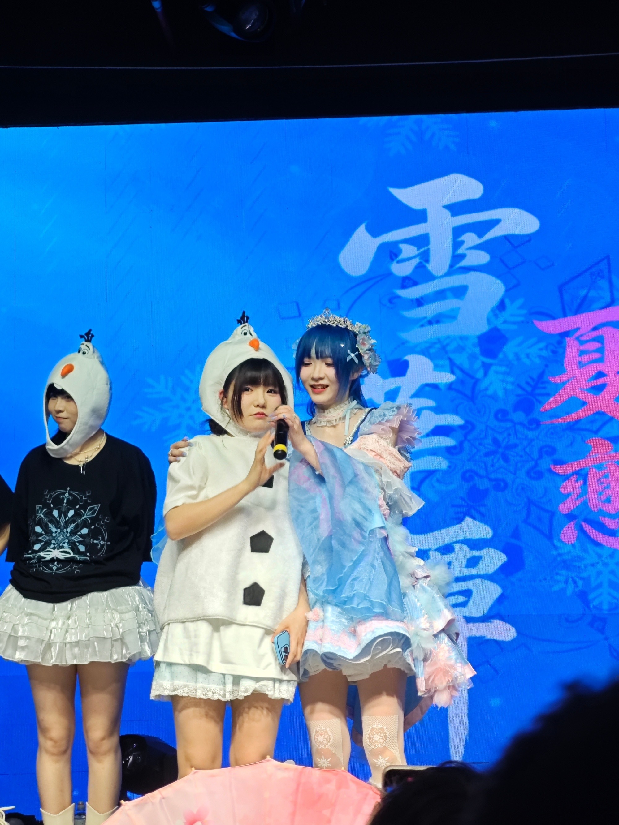 公主的仆人