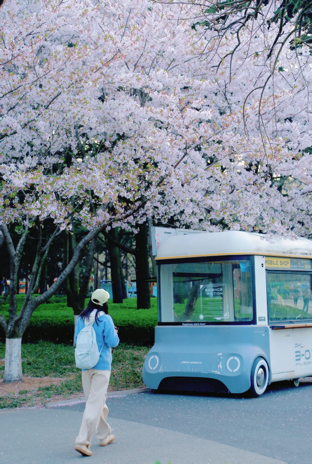 在青岛春天的花树下散步也很幸福🌸🫧💐