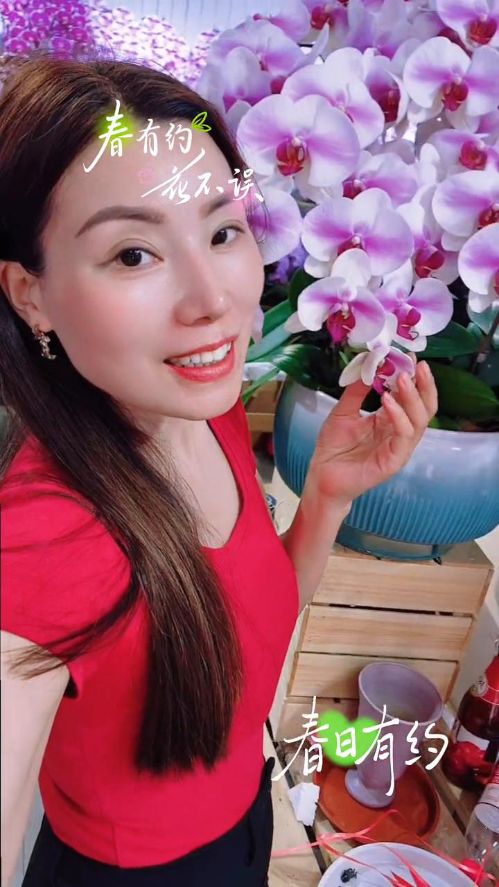 春有的花不误。
花不误。