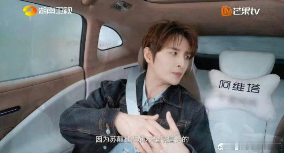 张远曝苏醒逼大家让他当队长湖南卫视背后苏醒想当队长还“逼”大家？张远曝幕后还支持