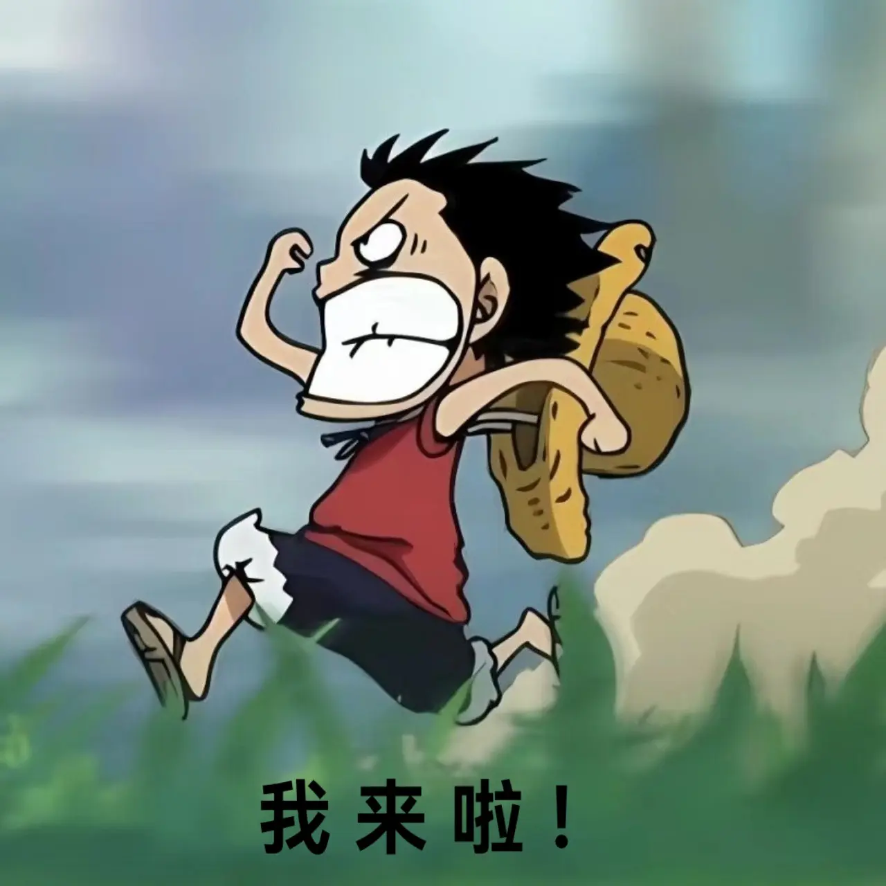 小路飞的日常表情包！你们觉得这个表情还可以配什么话？