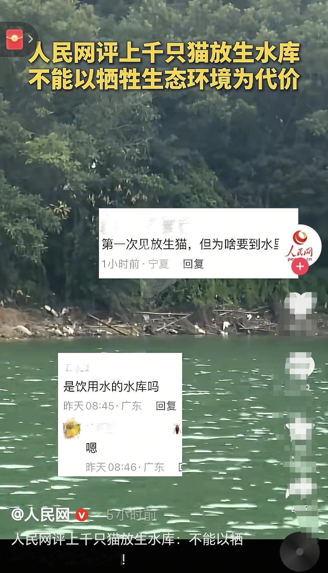 真是无语他妈给无语开门
这么多猫猫被丢进水库里，还是饮用水的水库，这些所谓的放生