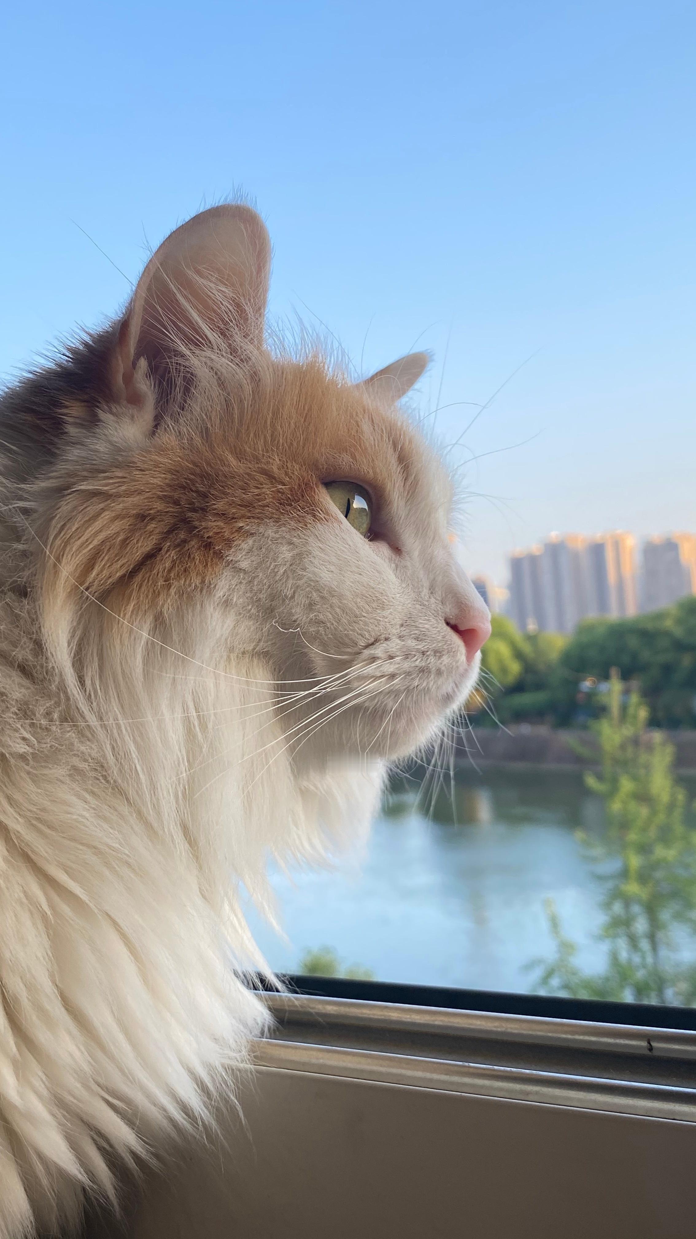 已经开始期待明年的夏天了夏天 ​​​