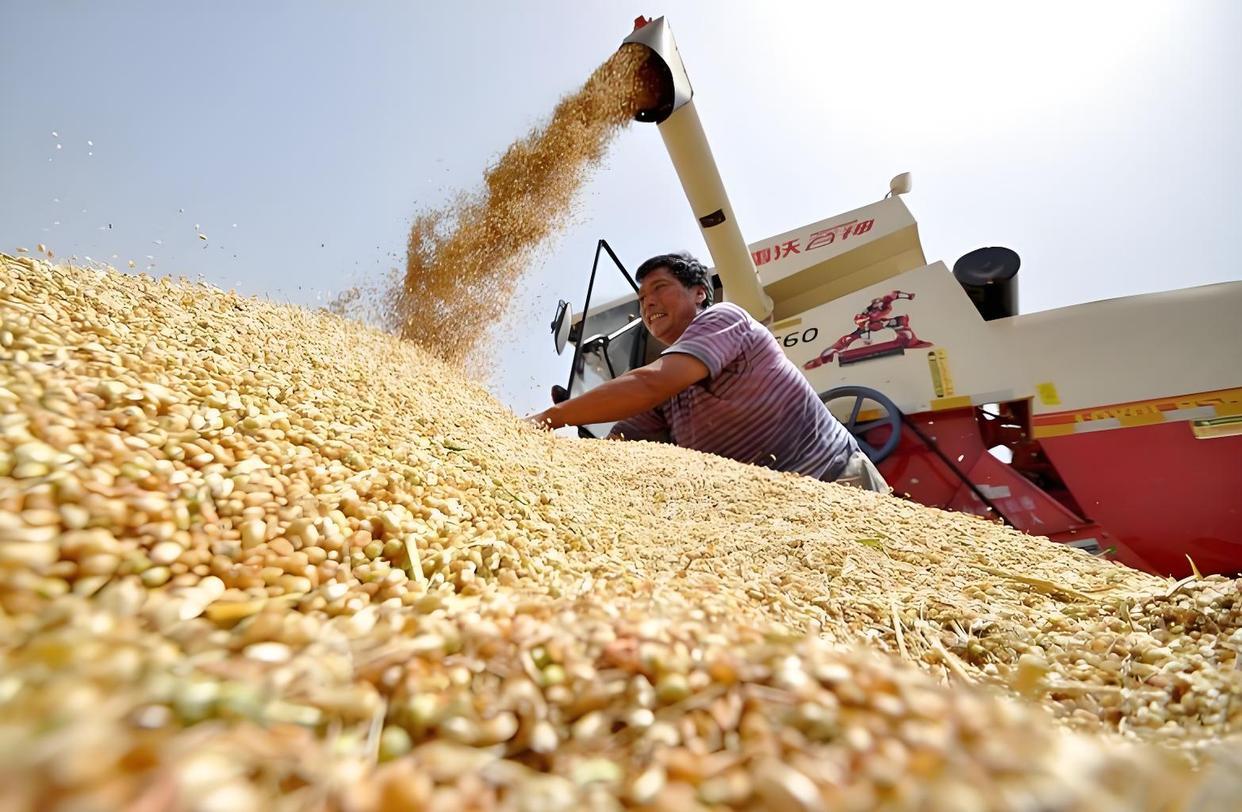农业间谍危害远超想象，守住饭碗，每个人都是守护者

农业间谍的危害，比我们想象的