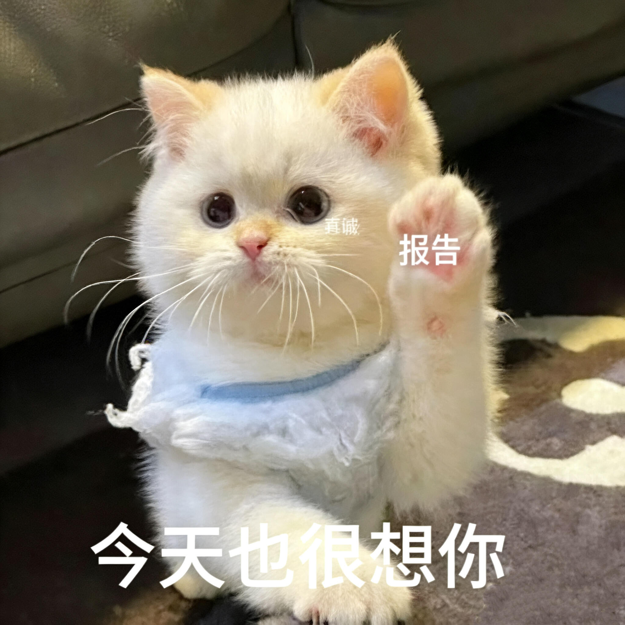 吴宣仪wxy吴宣仪辛凌 咱昨天的超喜欢和发萜还有今天的超喜欢底数就这样咯