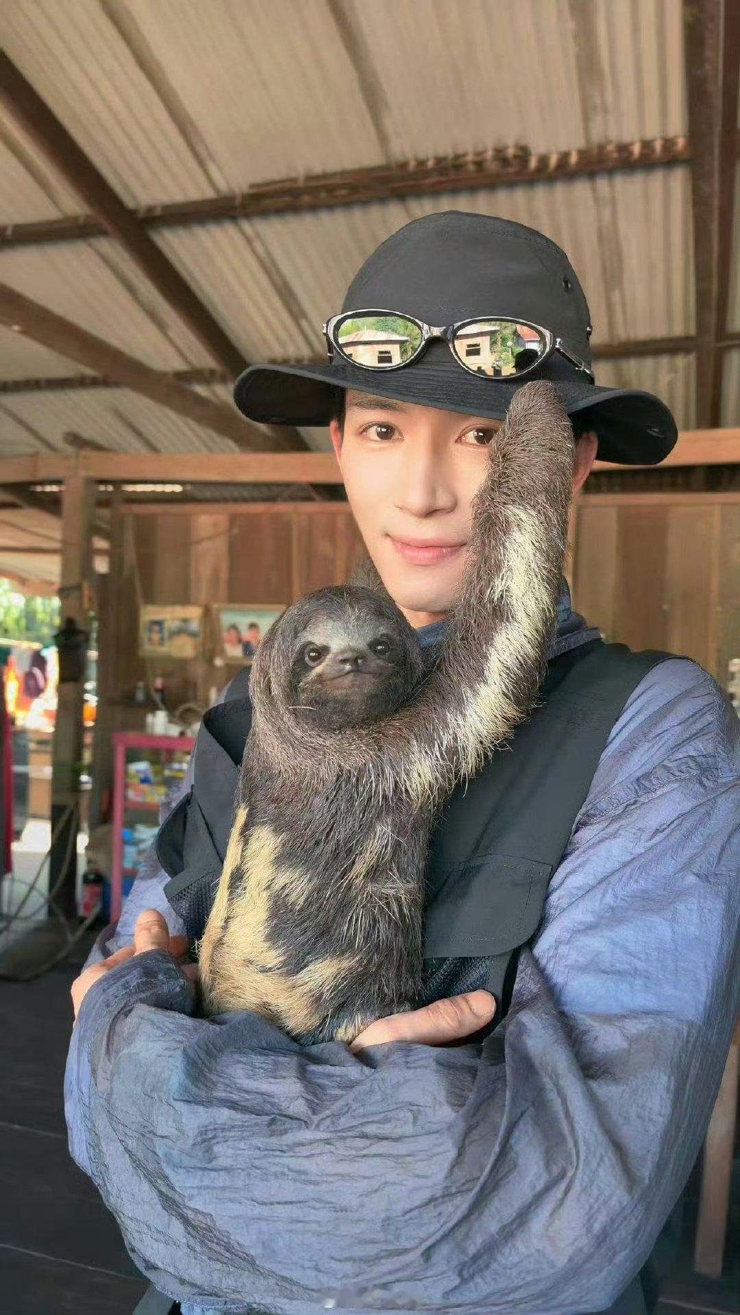 树懒也想要王星越的帽子吗王星越林依晨合照 王星越晒与树懒合照 ​​​