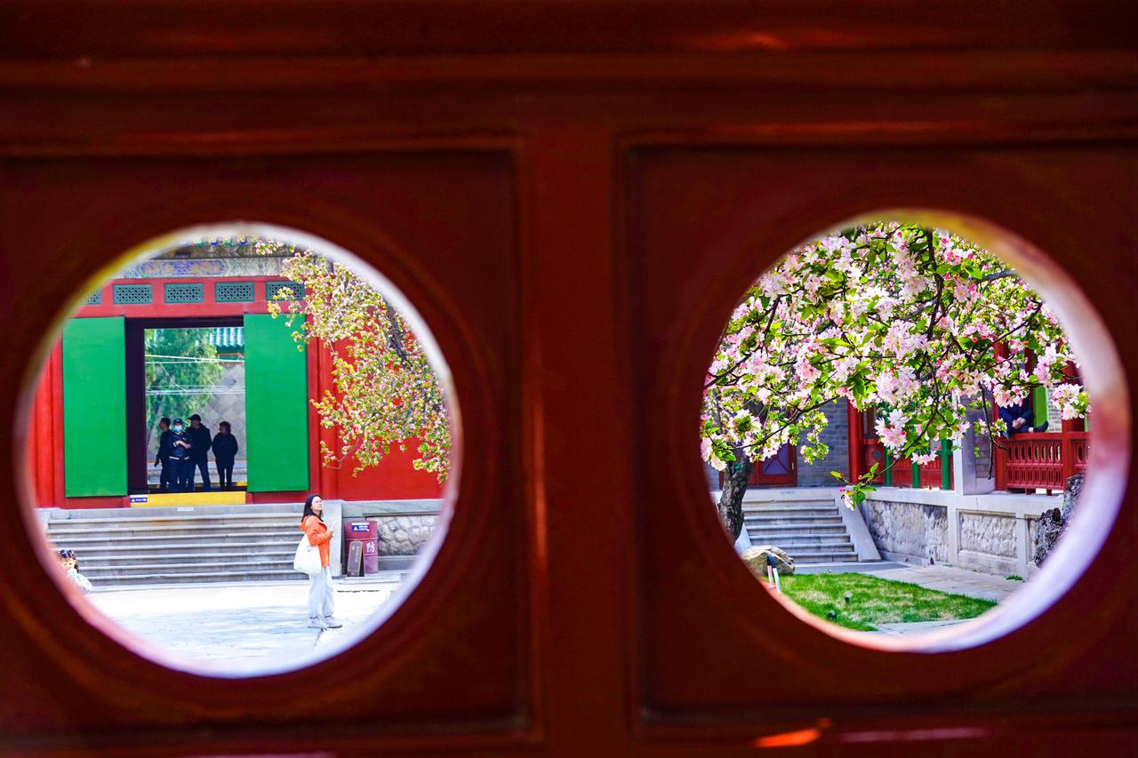 3月24日，位于济南百年老街上新街南首的山东古建筑博物馆，迎来开放以来的首个春天