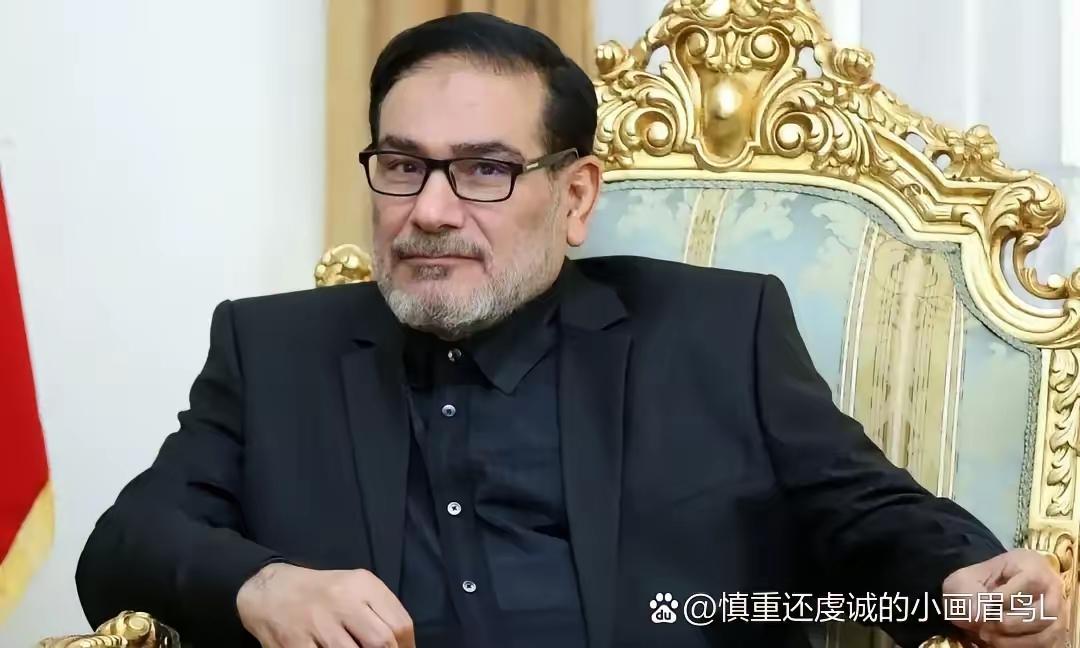 阿里·沙姆哈尼真的硬气！
  1月28日晚，伊朗最高领袖哈梅内伊最倚重的安全智囊