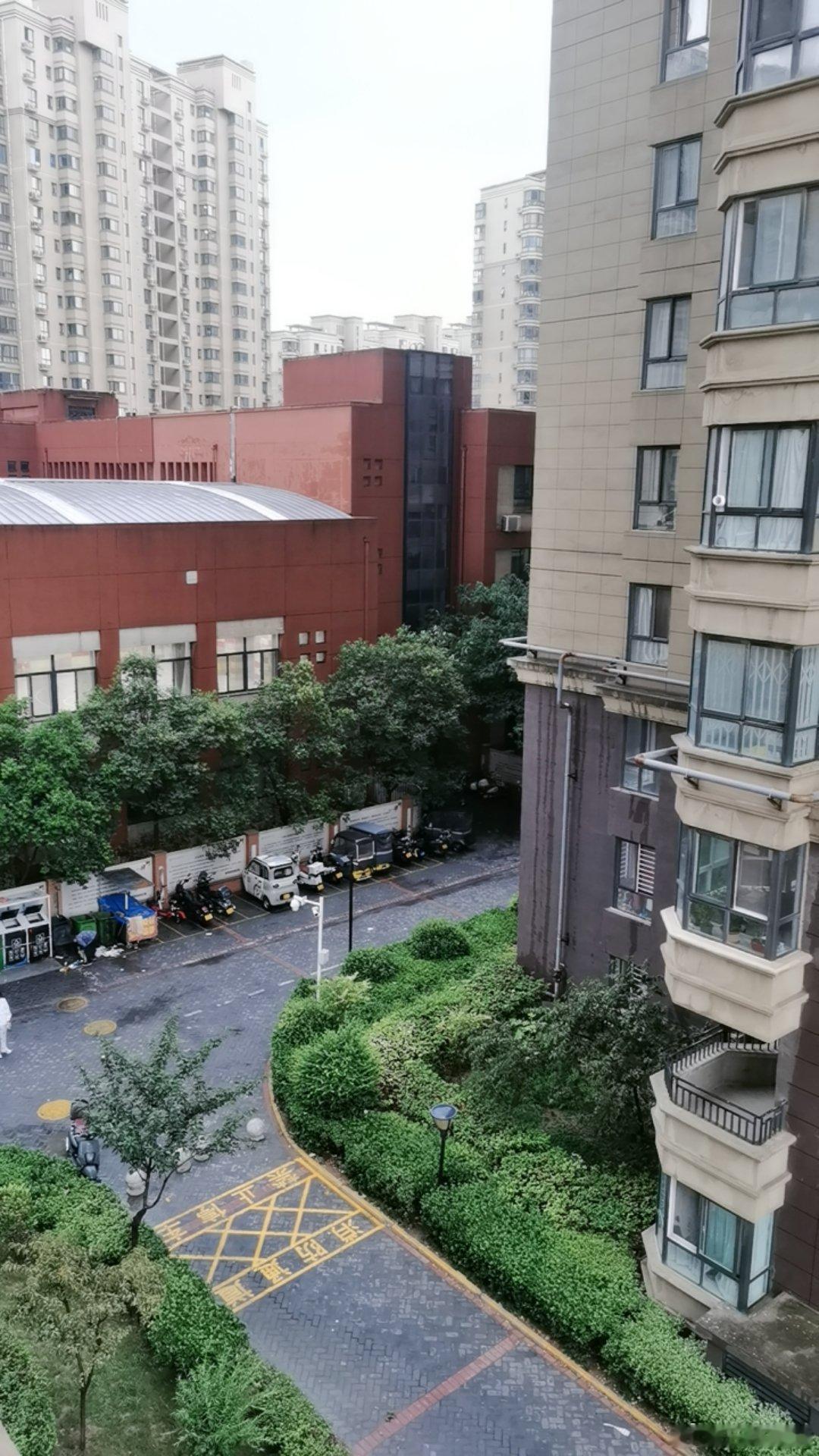 随手拍