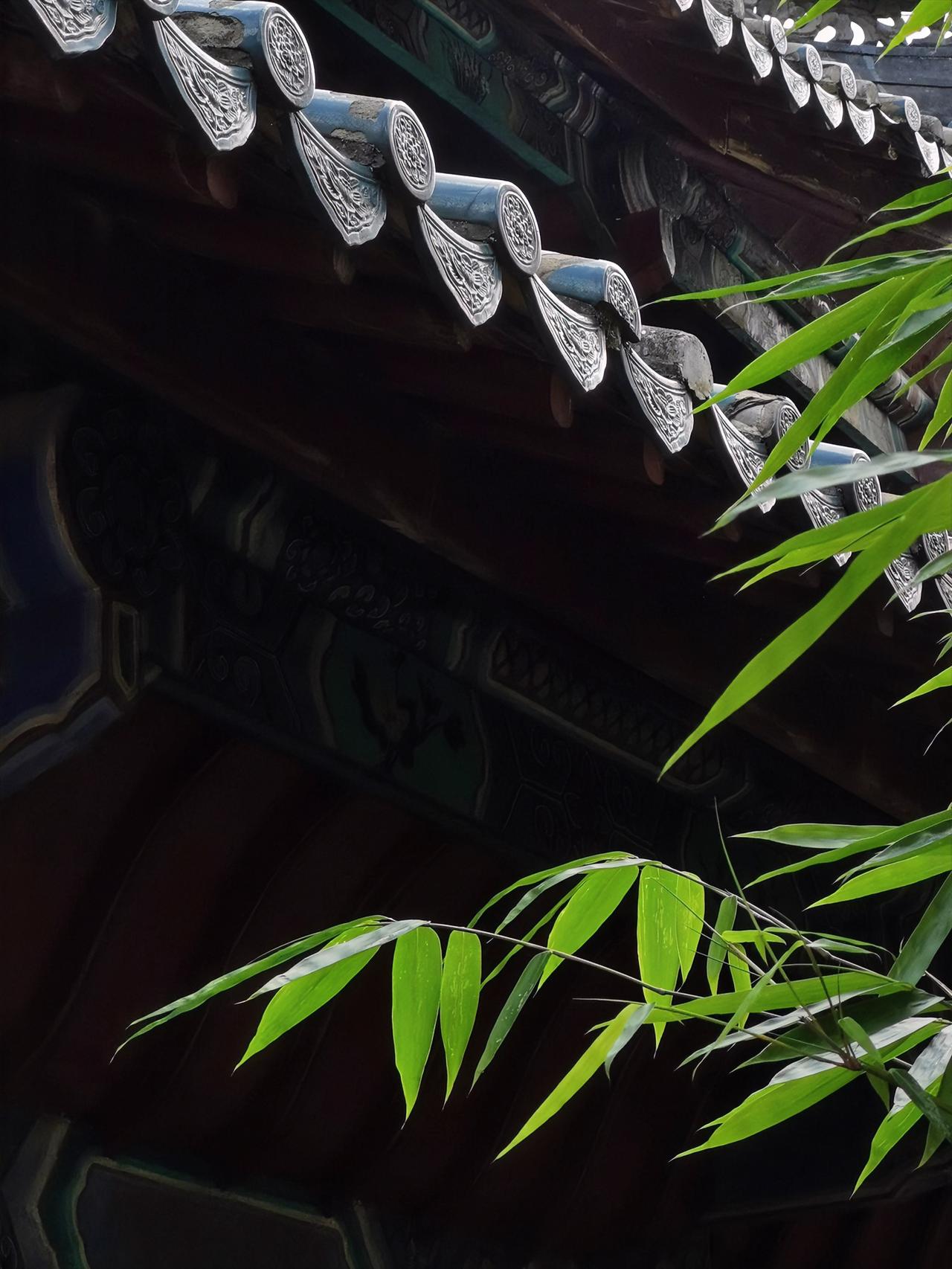 《道德经》言：“天道无亲，常与善人”，这句话太有深意了。就像《易经》里讲“厚德载