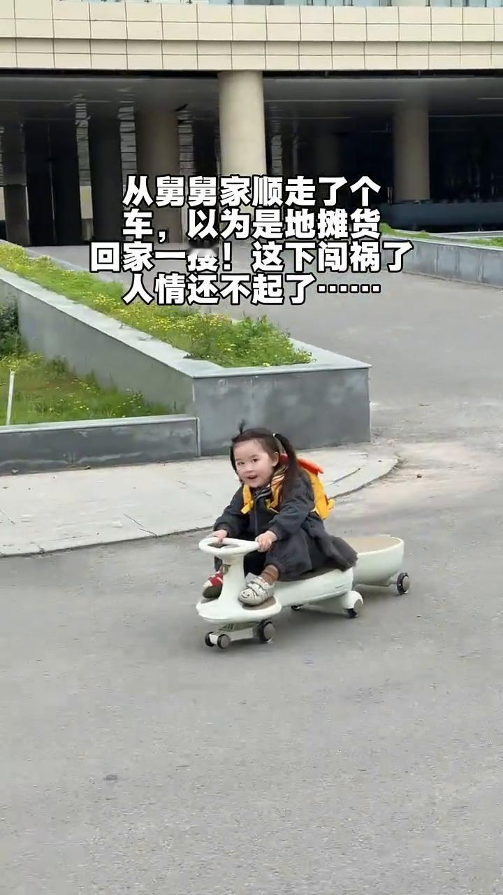 从舅舅家顺走了个车，以为是地摊货，回家一搜，这下闯祸了，人情还不起了。