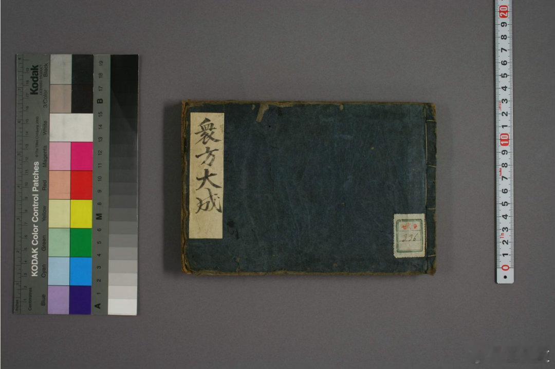 《众方大成》（又称《医方大成论》、《新编南北经验医方大成》）是元代一部极具影响力