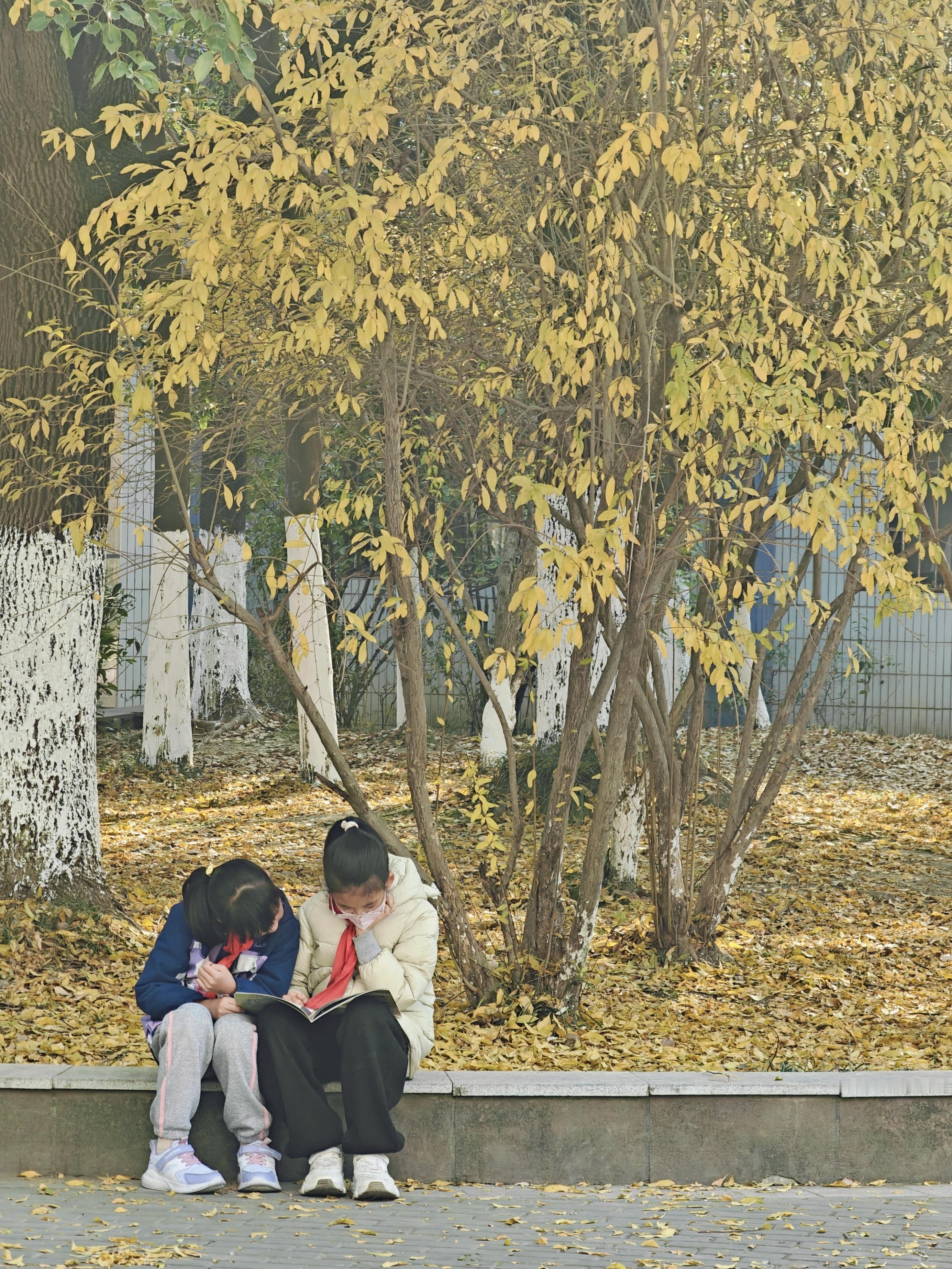 她们或许没察觉，这样的时光很是奢侈。要落叶恰好金黄，要陪伴恰好无猜，要冬天恰好接