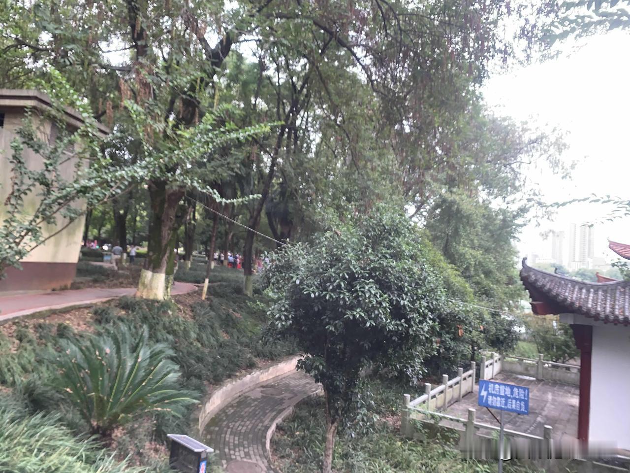 很多人以为认知取决于学历、读书多少，其实并非如此。用唯物辩证法来看，认知是内因与