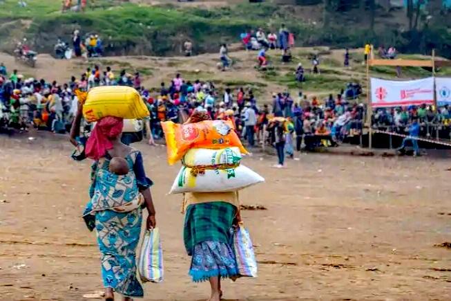 刚果（金）两千多万人饿着肚子，日子快撑不住了

联合国最近发了份报告，刚果（金）